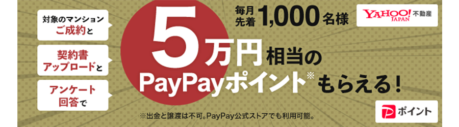 PayPayポイント