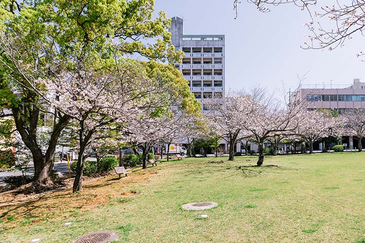 桜町公園